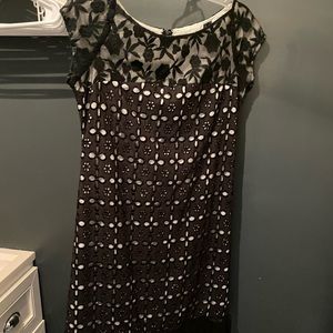 Forever Collection Daisy Dress